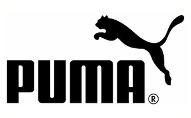Puma e1700524722465